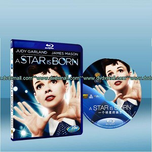 星海浮沈錄 A Star is Born