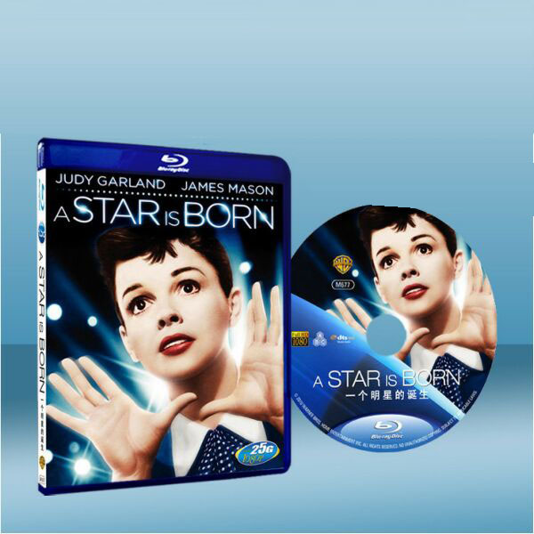 星海浮沈錄 A Star is Born