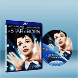 星海浮沈錄 A Star is Born
