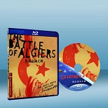 阿爾及爾戰役  The Battle of Algiers