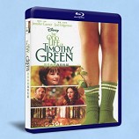 小芽的奇幻人生 The Odd Life of Timothy Green (2012)
