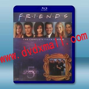 FRIENDS六人行/老友記 第5季 雙碟