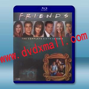 FRIENDS六人行/老友記 第6季 雙碟