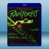 IMAX-熱帶雨林 Tropical Rainforest 