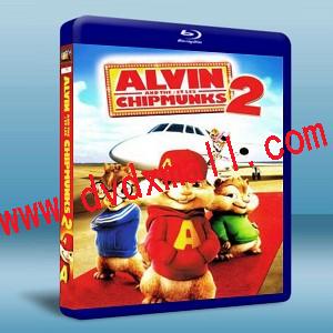 鼠來寶2 / 艾爾文與花栗鼠2 Alvin and the Chipmunks 2-藍光影片25G
