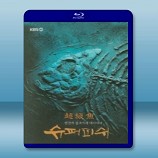 韓國KBS記錄片:超級魚2013  （2碟裝）-藍光影片25G