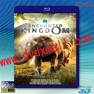 (3D+2D)魔法王國 Enchanted Kingdom  -藍光影片50G