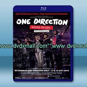1世代-1起嗨翻演唱會--義大利聖西羅球場實況  One Direction We Are' Live from San Siro Stadium -藍光影片25G