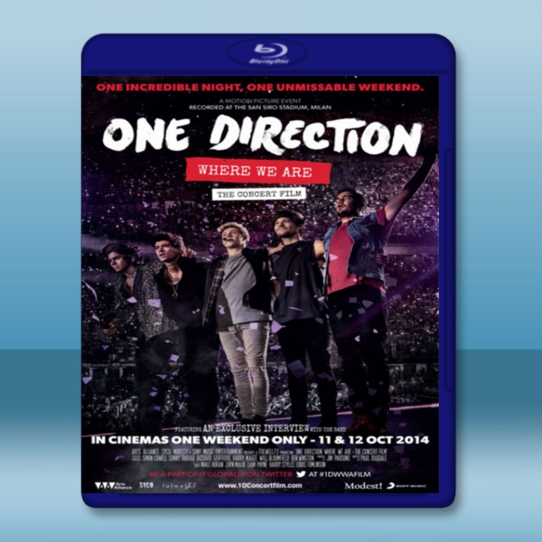 1世代-1起嗨翻演唱會--義大利聖西羅球場實況  One Direction We Are' Live from San Siro Stadium -藍光影片25G