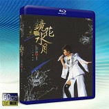 江蕙-鏡花水月2013演唱會 -藍光影片...