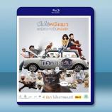  擅離職守的貓咪 <泰國> (2015) 藍光25G