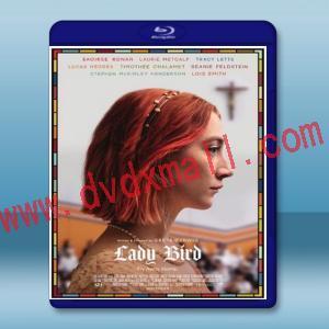  淑女鳥 Lady Bird (2017) 藍光影片25G
