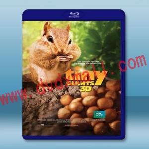  (2D+3D) 小巨人 3D Tiny Giants 3D (2014) 藍光影片25G