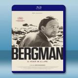 柏格曼：大師狂想 Bergman：A Y...