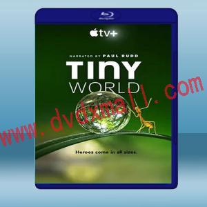  小小世界 Tiny World (1碟) 藍光25G