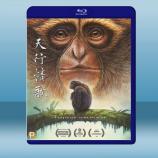  天行情歌 (2020) 藍光25G
