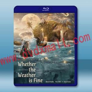  颱風逃跑計劃/天晴有時 Whether the Weather Is Fine(2021)藍光25G