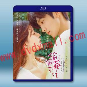  偷偷藏不住【TV全集+特輯】(2023)藍光25G 2碟L