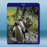 我們的星球第二季 Our Planet ...