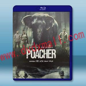偷獵者 Poacher (2024)藍光25G 2碟T