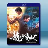 如龍/人中之龍 (2024)【TV全集+...
