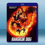 曼谷鬥犬/曼谷戰狼 Bangkok Do...
