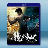人中之龍/如龍 (2024)藍光25G ...