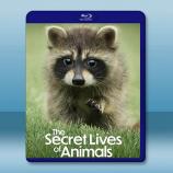 動物的秘密生活 The Secret L...