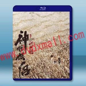 神雕俠侶：問世間 (2025)藍光25G
