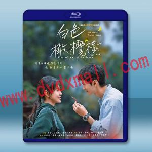 白色橄欖樹（2025）【TV全集+幕後花絮】藍光25G 4碟L
