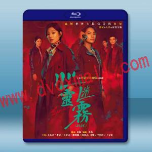 心靈迷霧 (2025)【TV全集+幕後花絮】藍光25G 2碟L