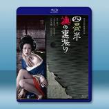 歡場春夢 四畳半襖の裏張り（1973）藍...