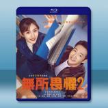 無所畏懼2（2025）【TV全集+幕後花...