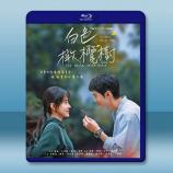 白色橄欖樹（2025）【TV全集+幕後花...