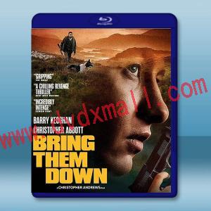 打倒他們 Bring Them Down (2024)藍光25G