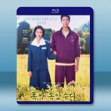 苦盡柑來遇見你 (2025)藍光25G ...