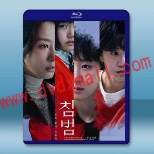 侵犯 (2025)藍光25G
