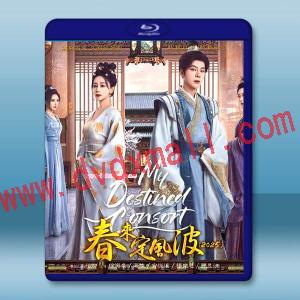 春來定風波 (2025)藍光25G 3碟L