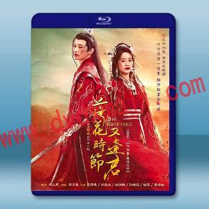 落花時節又逢君（2025）【TV全集+番外篇+幕後花絮】藍光25G 4碟L