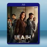 叛國風暴/糾纏 Ulajh (2024)...