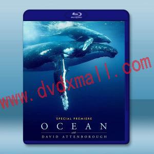 與大衛艾登堡遨遊深海 Ocean with David Attenborough(2025)藍光25G