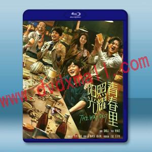陽光照耀青春里 (2025)藍光25G