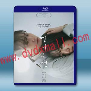 玉貞姐姐 (2024)藍光25G