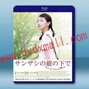 山楂樹之戀 (2010)藍光25G