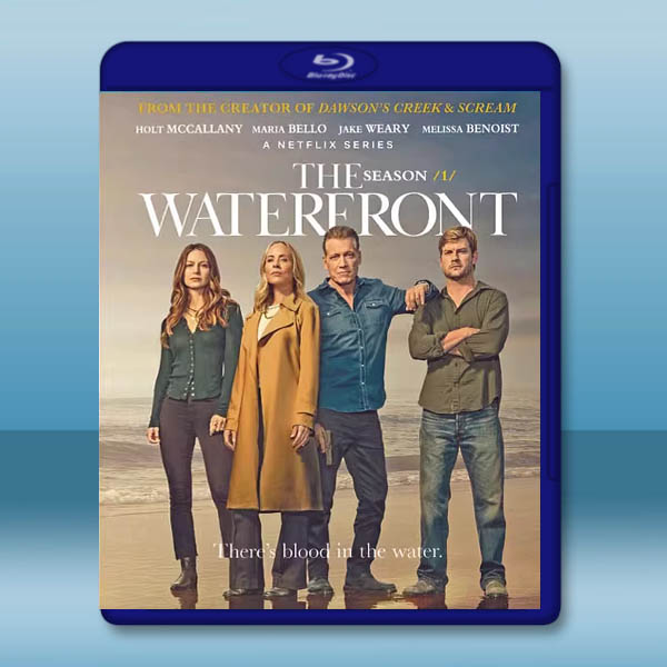 碼頭風雲 The Waterfront (2025)藍光25G 2碟L