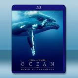 與大衛艾登堡遨遊深海 Ocean wit...
