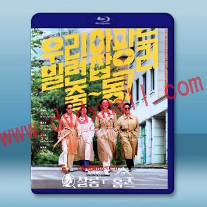 主婦偵探社 (2025)藍光25G 2碟L