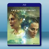 親權考核/評估 The Assessme...